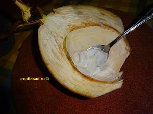 Внутренности кокосового ореха похожи на сметану